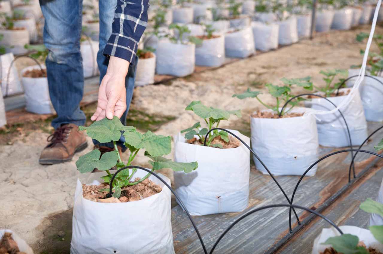 Nursery bags
